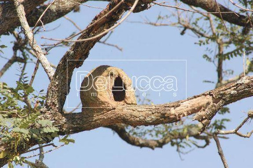 Imagem 28 de 30 de Casa À Venda Em Bairro Itapema - Ca000960