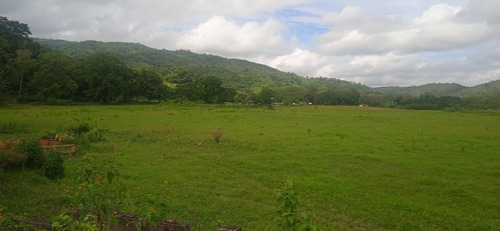 Imagen 29 de 30 de Finca En Guigue, 35 Hectareas. 5610462