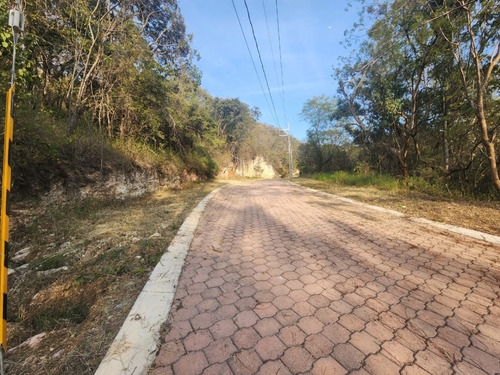 Venta Lote Gladiola 30 Muy Cerca Del Acceso Y En Calle Privada Con Vistas Panorámicas, Todos Los Servicios Y Proyecto Incluído En Fracc Rancho San Diego Ixtapan De La Sal Edomex