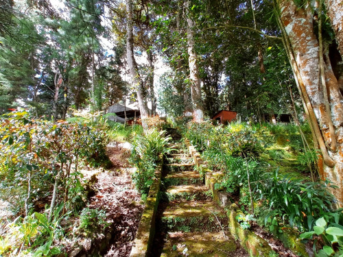 Imagen 7 de 30 de Vendo Bonita Granja, Media Manzana De Terreno, Ubicada A Orilla De Carretera Pavimentada, Muy Cerca De San Lucas Sacatepequez