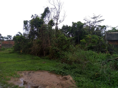 Imagem 2 de 5 de Terreno No Litoral Com 321m². 02 Unidades ! Itanhaém