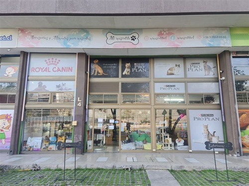 Local Comercial En Arriendo En Ñuñoa Portal Ñuñoa Av Grecia