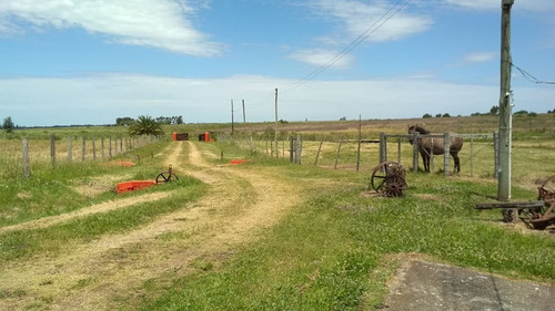 Campo, 100 Hectáreas, 2 Casas.