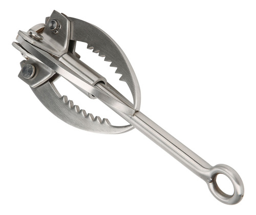 Gancho De Agarre De Acero Inoxidable Sporting Goods 4 Claws