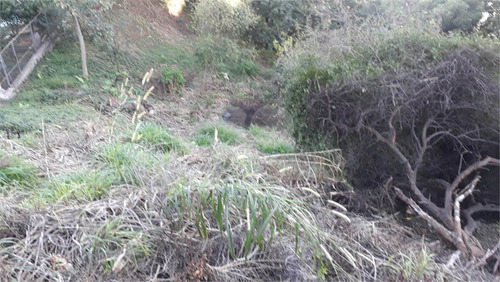 Imagem 4 de 30 de Terreno No Jardim São Bento Com 890 Metros Com Linda Vista Panorâmica Pronto Para Construir!!!! - Reo499490