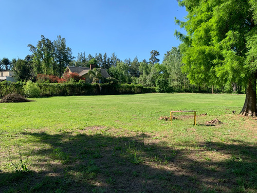 Venta De Macro Lote De 1 Hectárea En Islas Del Delta, Tigre.