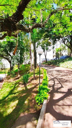 Imagem 5 de 15 de Excelente !!! Apto 03 Dorm - Jardim Novo Santo Amaro - Av381