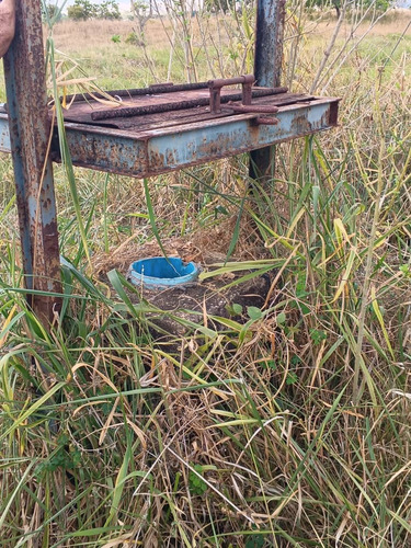 Global Ofrece En Venta Finca En Tinaquillo.edo Cojedes