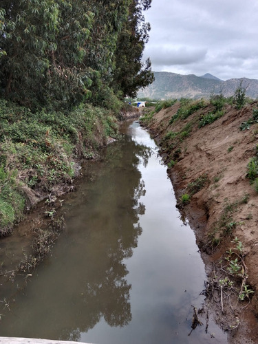 Parcela 3.9 Hcts El Salto Pichidegua Con Derecho De Agua