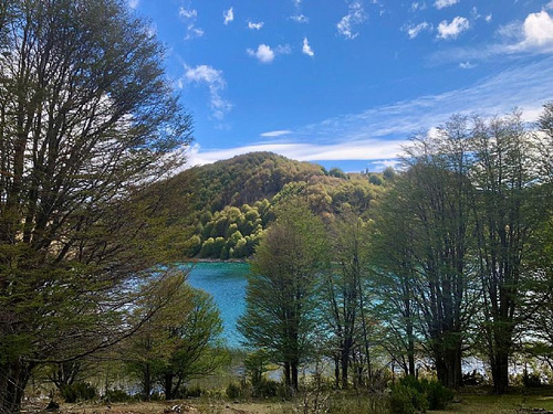 Parcela 1 Ha Con 80 Mt De Orilla De Lago Castor