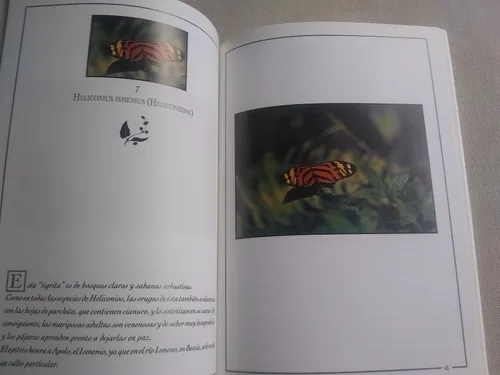 Mariposas De Caracas (Usado)