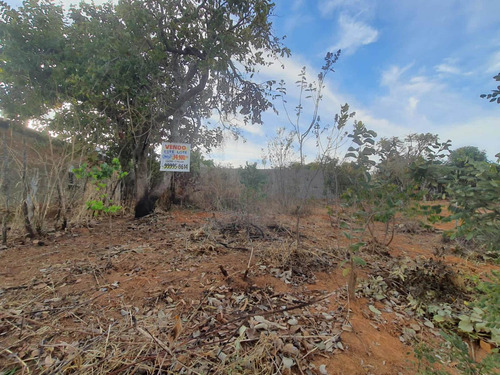 Imagem 4 de 10 de Lote Em Caetanópolis