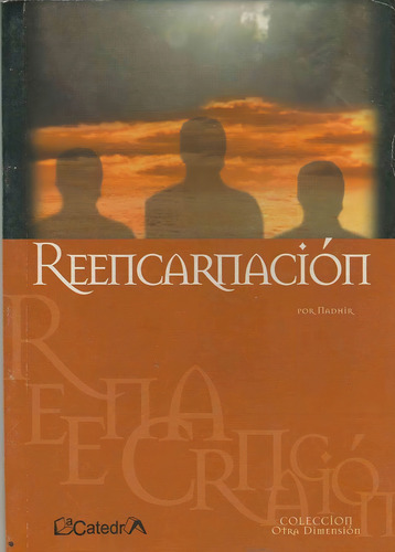 Reencarnacion, De Nadhir. Editorial Plaza Dorrego Editores, Tapa Tapa Blanda En Español