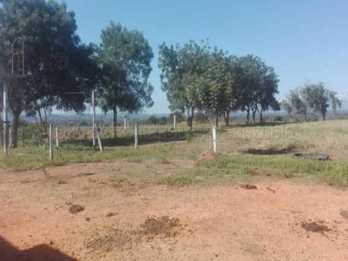 Imagen 18 de 30 de Terrenos En Venta Sarare Simon Planas 21-15944 #m