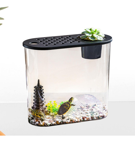 Aquário De Mesa Resistente Com Tampa Mini Tampa Preta