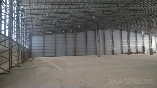 Imagen 2 de 8 de Excelente Nave Aaa De 11.500 M2 A Estrenar