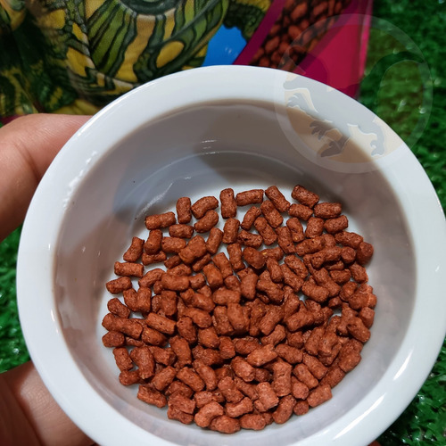 Imagem 3 de 7 de Ração Super Premium Tartarugas - Megazoo - 280 Gr