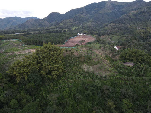 Imagen 27 de 30 de Venta De Finca En Pereira Vereda Combia .