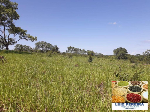 Imagem 4 de 5 de Fazenda À Venda Em Camapuã - Ms - De 415 Hectares (pecuária) - 1701