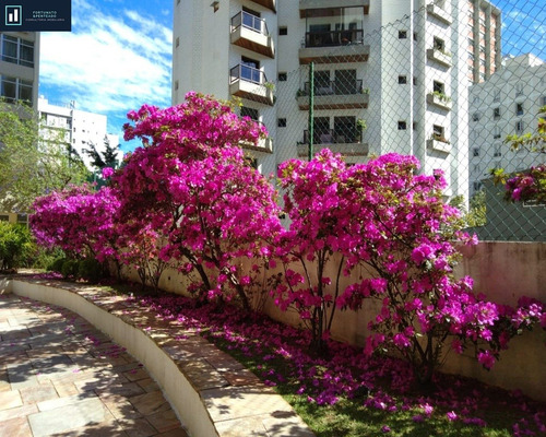 Imagem 27 de 28 de Apartamento Para Locação Com Localização Privilegiada! - Ap00273 - 68446991