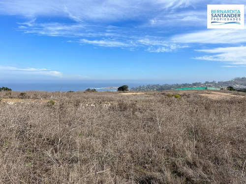 Sitio En Condominio Parque Cachagua
