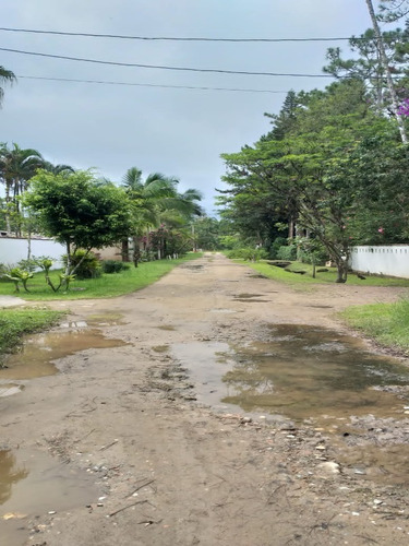 Imagem 2 de 10 de Terreno Em Área De Chácara - 6531 - 69840740