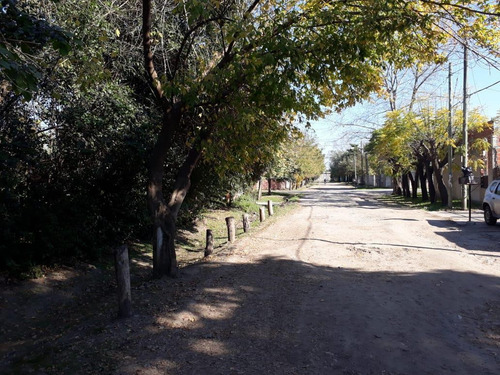 Imagen 1 de 8 de Terreno - Paso Del Rey