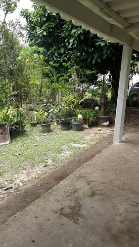 Rural Para Venda, 2 Dormitórios, Parque Da Alvorada - Itanhaém - 12420