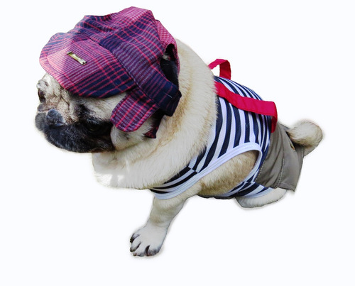 Imagem 8 de 9 de Roupa De Cachorro/ Gato Fantasia Tipo Chaves