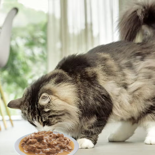 Sobre Gato Sobre Purina Felix Gatito Pescado En Salsa 85g