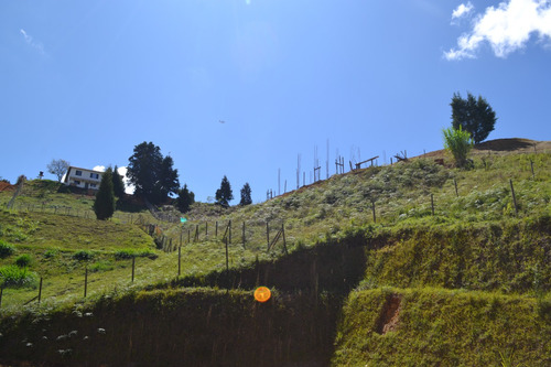 Lotes En Venta Guarne Cerca A La Autopista Medellin - Bogotà Desde 240 Millones