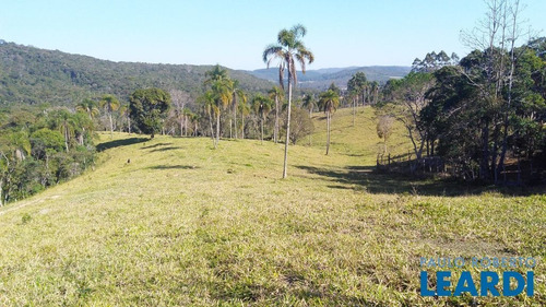 Imagem 14 de 15 de Fazenda - Centro - Sp - 514193