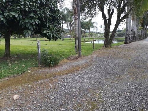 Imagem 15 de 18 de Terreno No Pirabeiraba Com 0 Quartos Para Venda, 18712 M² - Kt324