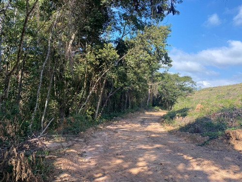 Imagem 6 de 8 de Chácaras De 20.000m2 C/ Lindo Córrego Nos Fundos, Na Região Do Quintas Da Serra, Aos Pés Da Serra Da Piedade, Em Caeté -mg! - Oci0104 - 69586504