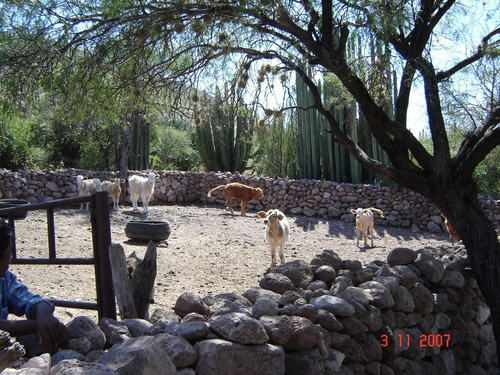 Imagen 1 de 14 de Rancho En Venta, Colinda Con Un Rìo En Colón Querétaro.