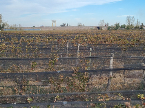 Imagen 24 de 30 de Finca Disponible En Fracciones Ideal Para Galpones O Loteo