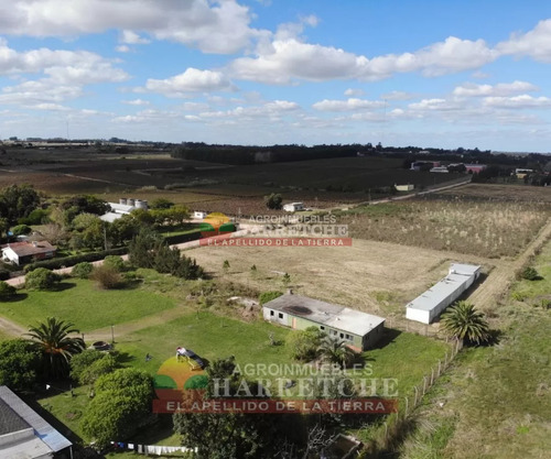 Chacra 4 Has Cno Calpino En Montevideo Rural