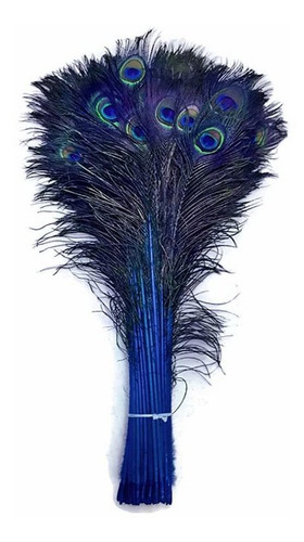 Pluma Pavo Real Repuesto Royal Azul Teñido Over Ojo Bulk