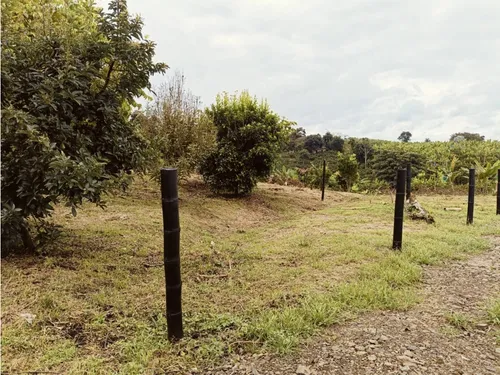 Se Venden Lotes En Quimbaya - Quindío