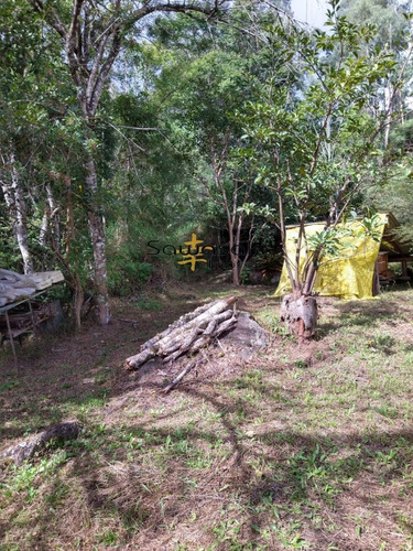Imagem 22 de 30 de Chácara Para Venda Em Jaguatirica Campina Grande Do Sul-pr - 5825