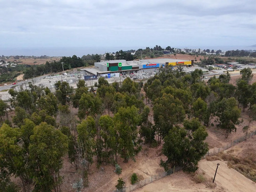 Parcela Soñada En Condominio Consolidado De Maitencillo