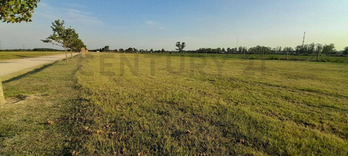Imagen 3 de 4 de Venta - Lote 600m2 - Santa Isabel - Etapa 3