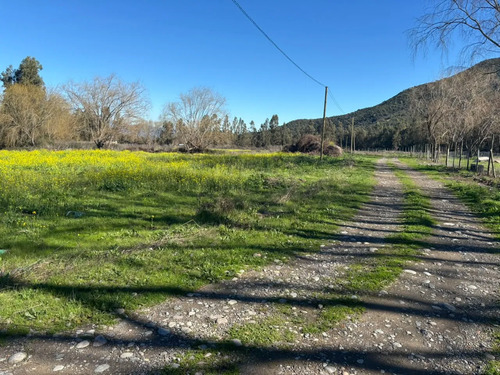 Venta De Terrenos  Sector Los Rulos