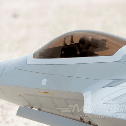 Avião Freewing F-22 Pnp 8s Raptor 90mm Ultra Desemp Edf Jet