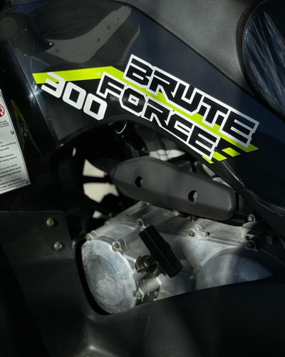 Imagen 19 de 25 de Kawasaki Brute Force 300 | Mall Don Bosco Motors