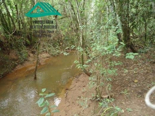 Imagem 15 de 16 de Fazenda A Venda No Bairro Zona Rural Em Baependi - Mg. - 208-1