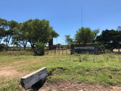 Imagen 7 de 7 de En Venta - 7 Ha / A La Vera De Rn7-km 347, Altura Acceso A Germania.