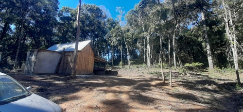 Imagem 3 de 13 de Chacara Otima Localizacao Linda