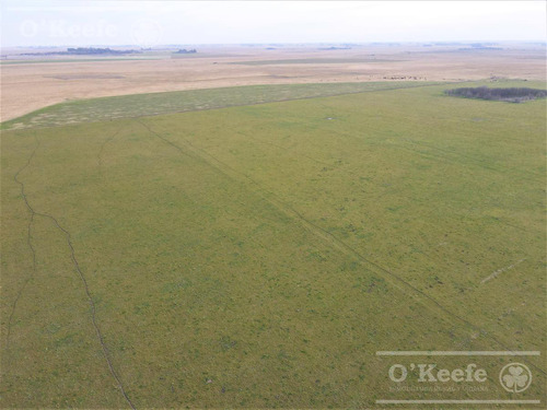 Imagen 6 de 29 de Campo Mixto De 170 Has En San Vicente. Oportunidad!