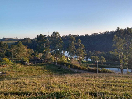 Imagem 3 de 7 de F17-lotes De 10 Mil Mtrs Para Investimento